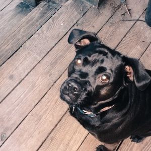 Meet your Posher, Ruby